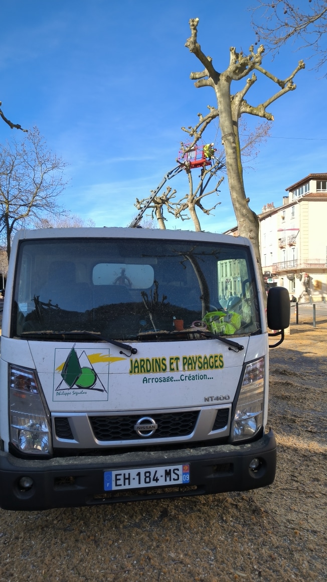 Élagage d'arbres par l'entreprise Jardins et Paysages Camion Nissan Jardins et Paysages et nacelle d'élagage travaillant sur un platane sous un ciel bleu.